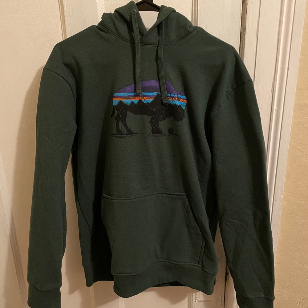 Patagonia Roy Bison Uprisal Hoodie